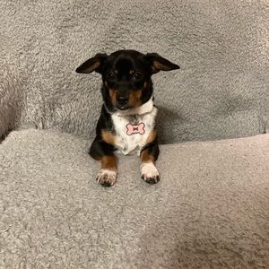 Meet your Posher, Liz